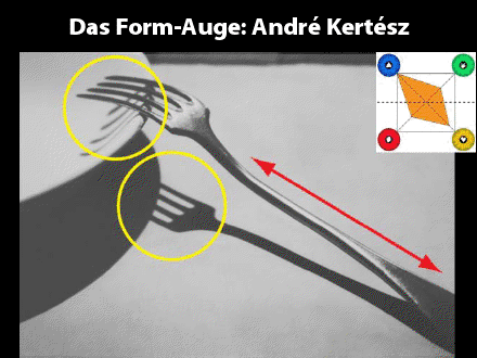Form-Auge-Fotografie-Andre-Kertesz-Martin-Zurmuehle