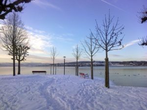 Sunny Winterday in Rapperswil