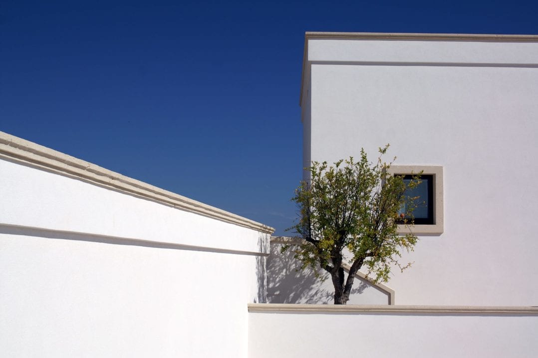 Zitrusbaum auf der Terrasse der Masseria Bagnara