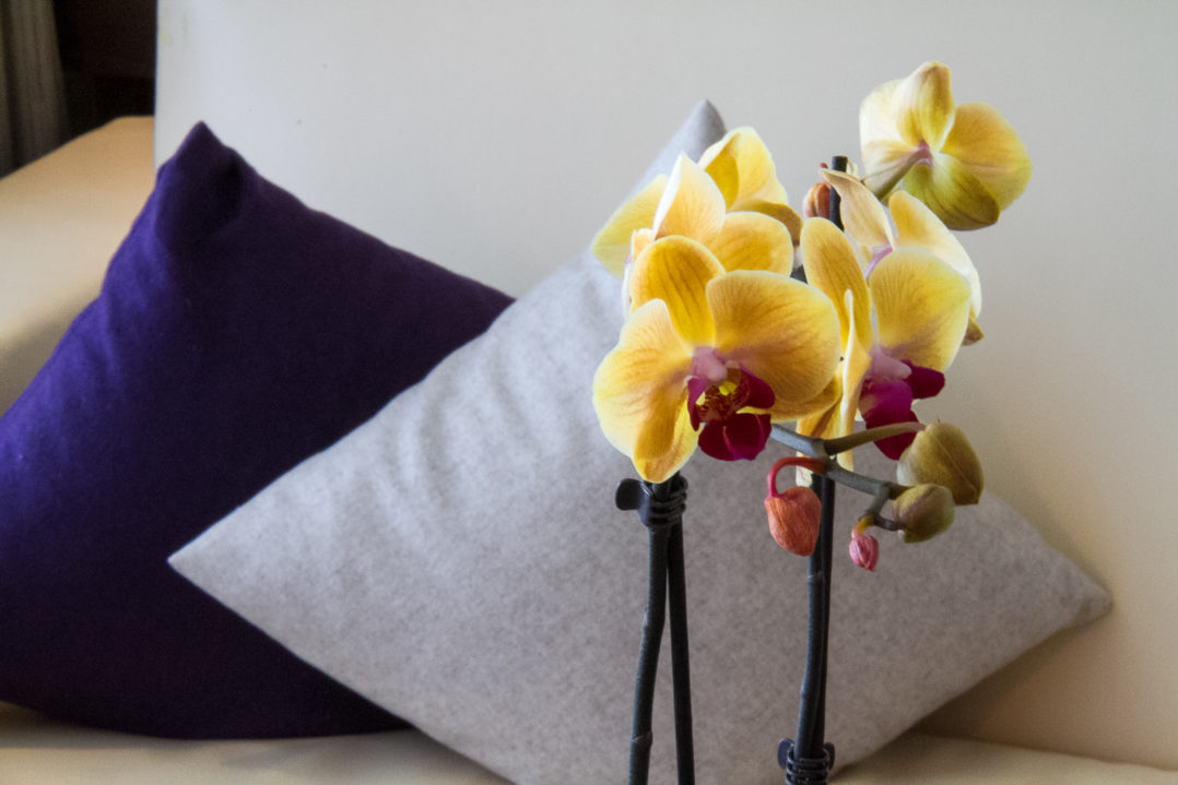 Orchidee im Hotelzimmer
