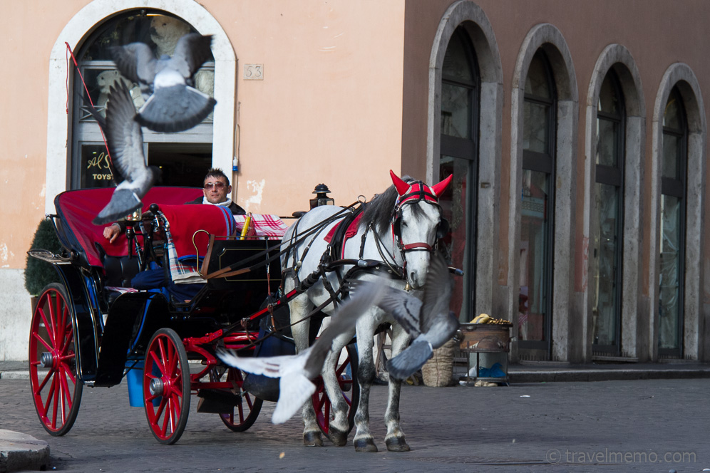 Pferdekutschen auf der Piazza Navona
