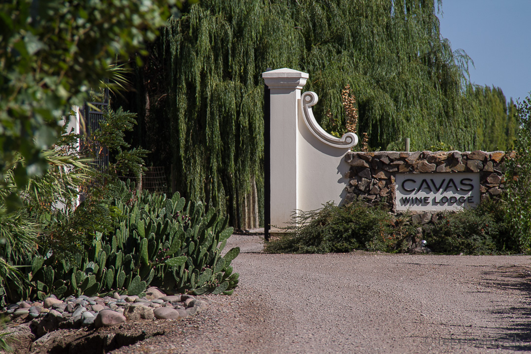 Einfahrt zur Cavas Wine Lodge bei Mendoza