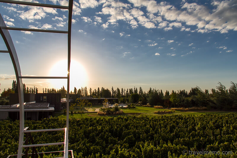 Reben und Hotel bei Sonnenaufgang von der Wein-Loft aus gesehen