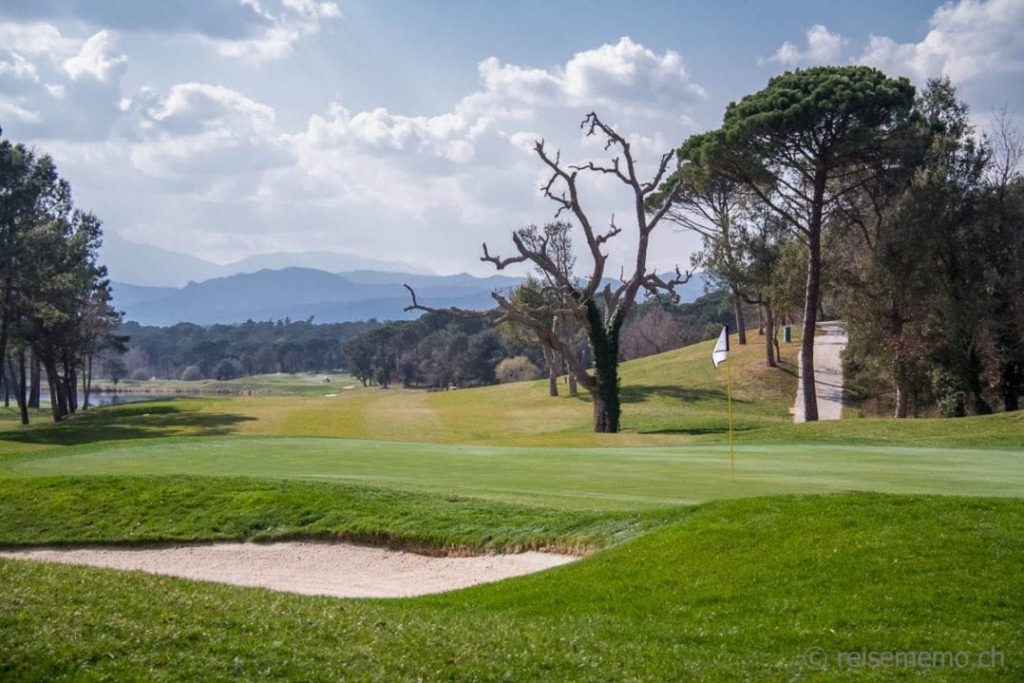 Green 12 und toter Baum des Stadium Courses des PGA Catalunya Go