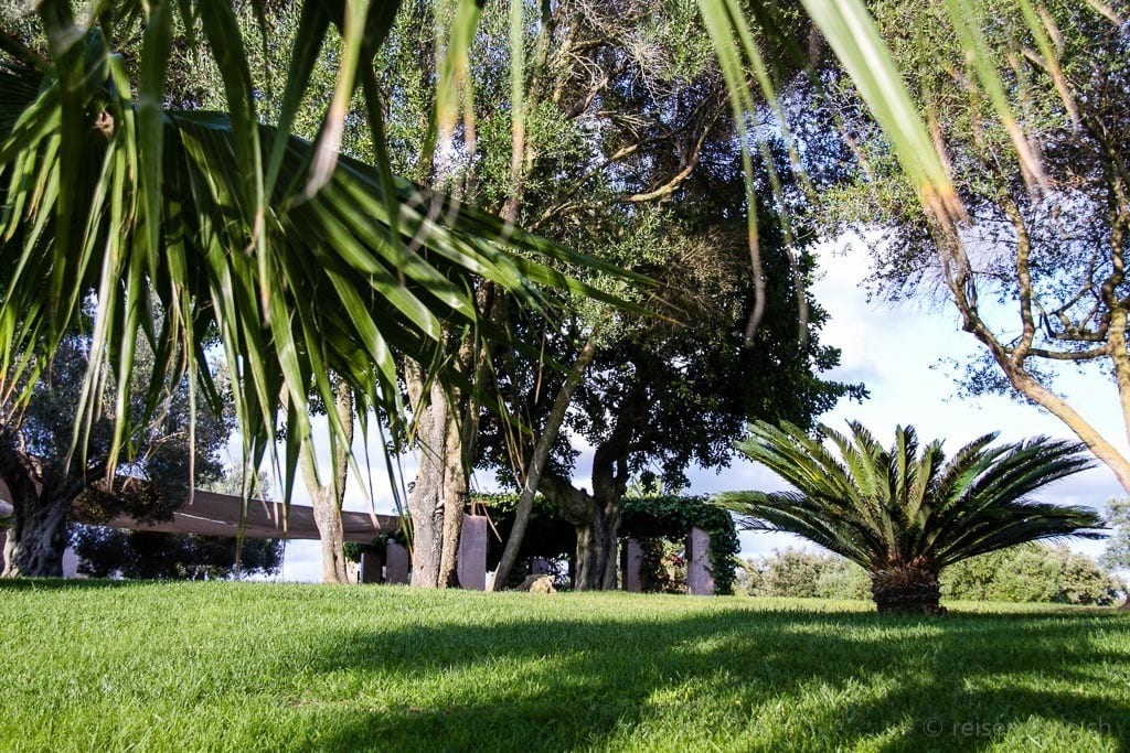 Finca Son Penya Garten Palmen bei Reisememo