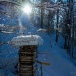 Holzstapel Schnee Amden bei Reisememo