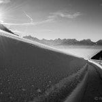 verschneites Arvenbuehl bei Reisememo