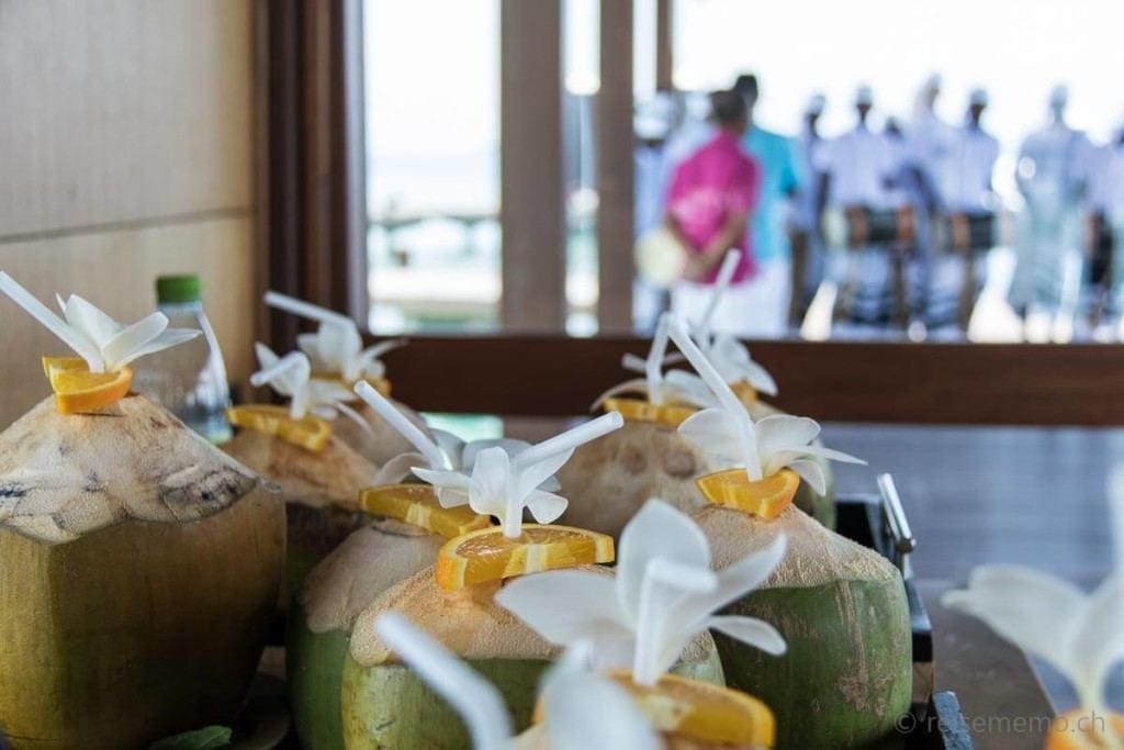 coconut drinks bei Reisememo