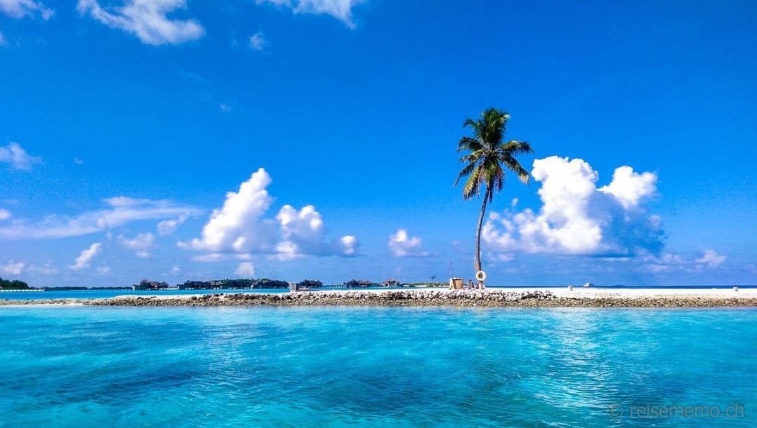 Blauer Himmel und ein-Palmen Insel vor Lankanfushi Island