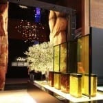 EXPO 2015 MILANO – Glanzstücke, die beeindrucken 6 IMG 2728 expo2015 marocco bei Reisememo