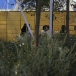 EXPO 2015 MILANO – Glanzstücke, die beeindrucken 14 IMG 2799 expo2015 uk bei Reisememo