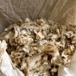 Die blauen Schürzen aus dem Sarntal 20 IMG 0501 Wolle Handweberei Unterweger Sarnthein bei Reisememo