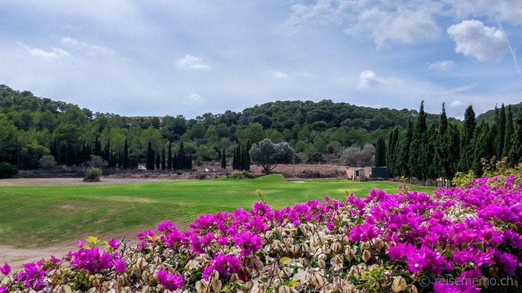 Golf Ibiza 15 bei Reisememo