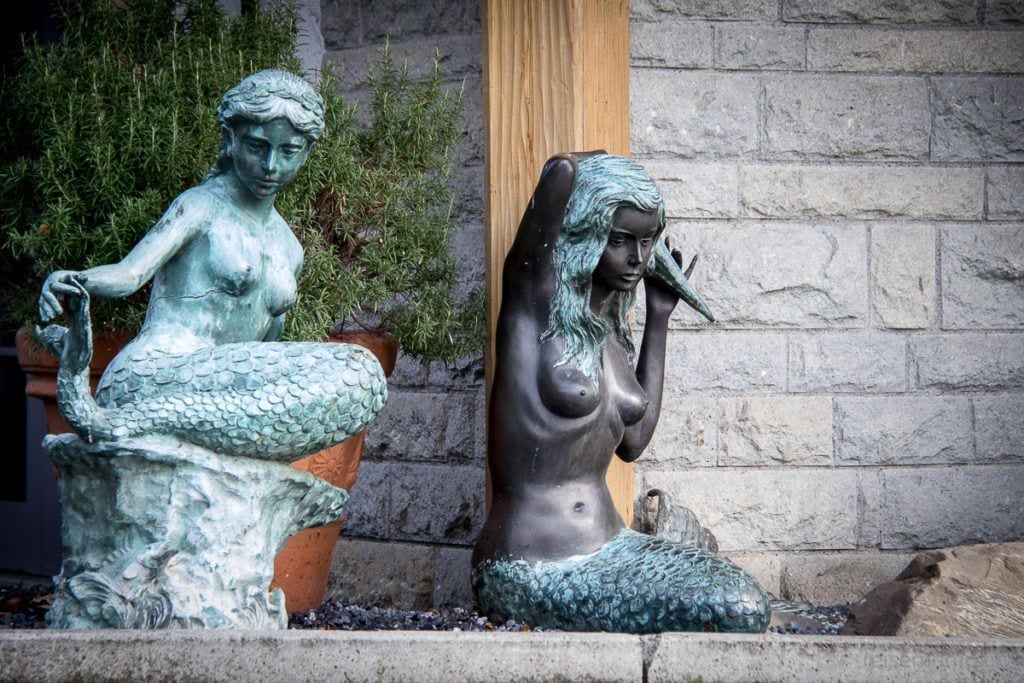 Seerose Resort Meerjungfrauen bei Reisememo