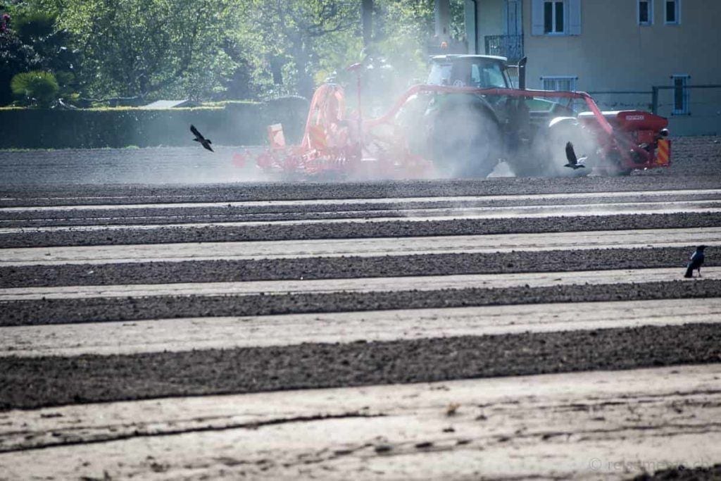 The Living Circle - die Schweizer Boutique Hospitality Marke 29 Traktor im Reisanbau beobachtet von hungrigen Krähen