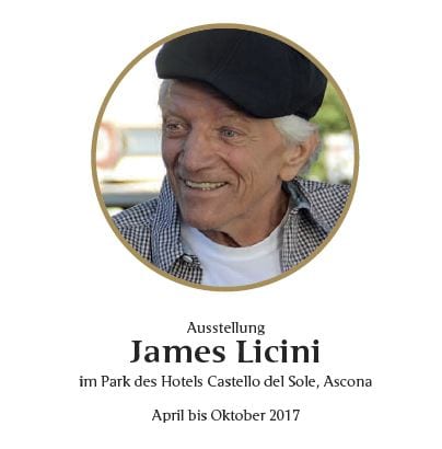 James Licini: Stahlbauer 2017 im Castello del Sole in Ascona