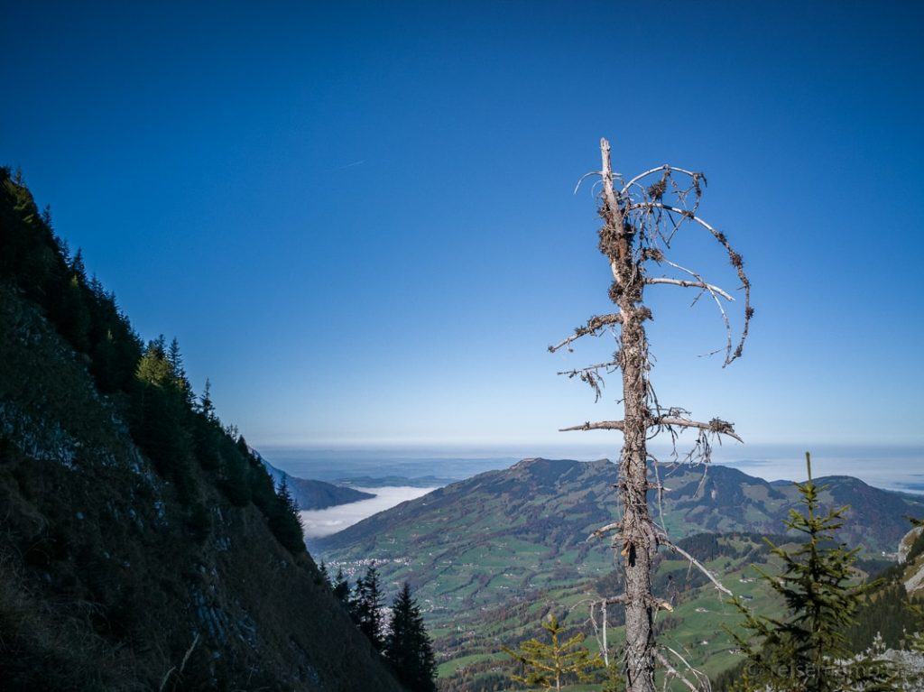 Grosser Mythen - über 47 Kehren zum Gipfel 18 Grosser Mythen 16 bei Reisememo