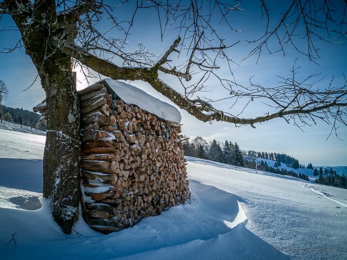 Holzstapel im Atzmännig