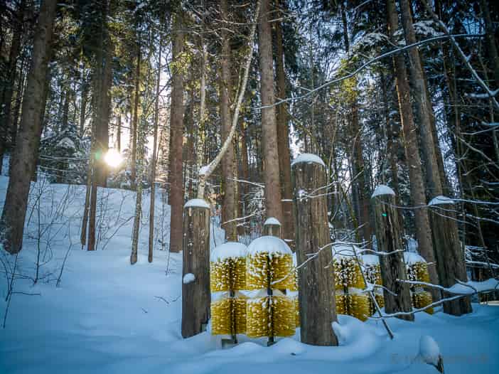 Putzbürsten im Atzmännig