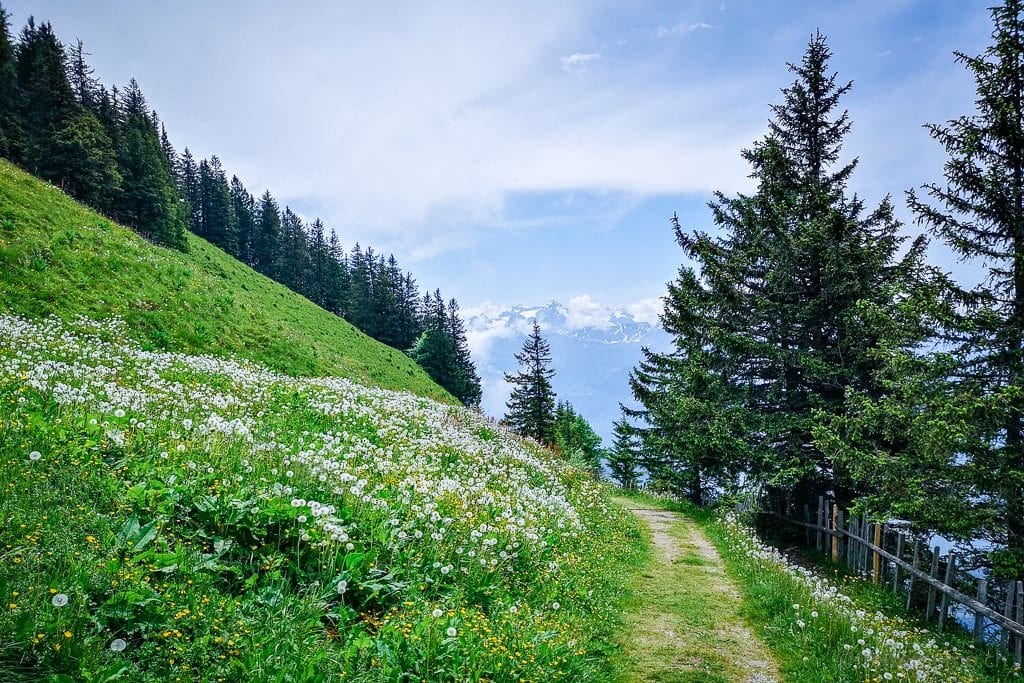 Wanderung Rigi Glettialp bei Reisememo