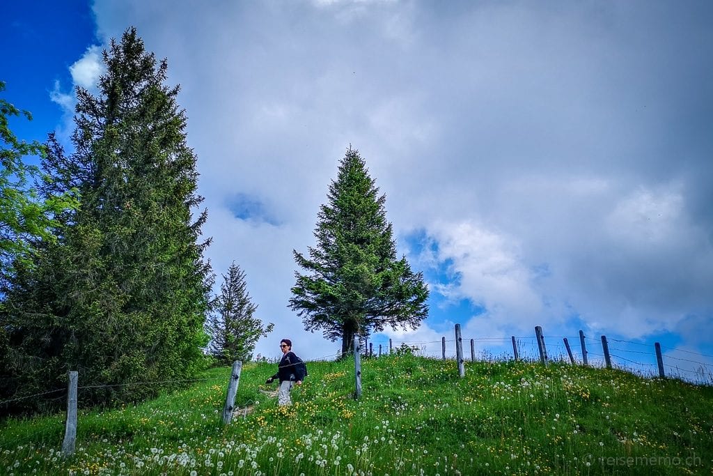 Wanderung Rigi Katja Rotstock bei Reisememo