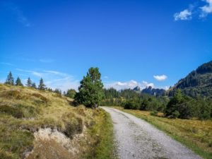 Hochmoor Amdener Höhenweg