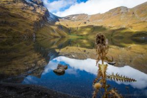 Bachalpsees auf dem Eiger-Panoramaweg