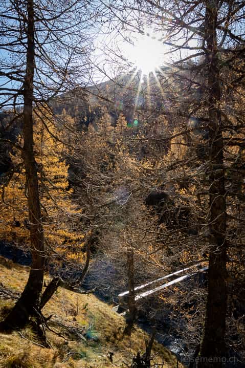 Ausflugsziel, Graubünden, Herbst, Herbstwanderung, Schweizer Nationalpark, Val Trupchun, Wanderung, Zernez, https://reisememo.ch/schweiz/val-varusch-alp-trupchun-schweizer-nationalpark, wandern