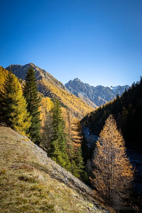 Ausflugsziel, Graubünden, Herbst, Herbstwanderung, Val Varusch, Wanderung, Zernez, https://reisememo.ch/schweiz/val-varusch-alp-trupchun-schweizer-nationalpark, wandern
