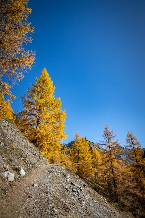 Ausflugsziel, Graubünden, Herbst, Herbstwanderung, Schweizer Nationalpark, Val Varusch, Wanderung, Zernez, https://reisememo.ch/schweiz/val-varusch-alp-trupchun-schweizer-nationalpark, wandern
