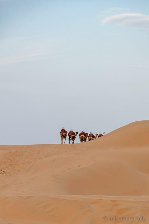 Karawane in der Liwa-Wüste