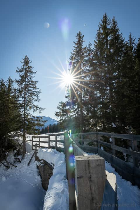 Winterwanderung Flims - Foppa - Runcahöhe - Flims