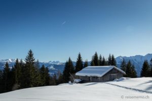 Winterwanderung Flims - Foppa - Runcahöhe - Flims