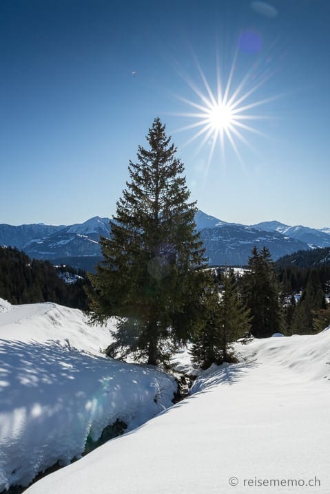 Winterwanderung Flims - Foppa - Runcahöhe - Flims