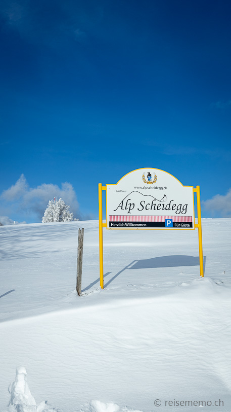 Alp Scheidegg im Winter