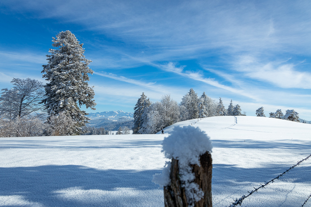 Winterlandschaft mit Sicht auf den Säntis