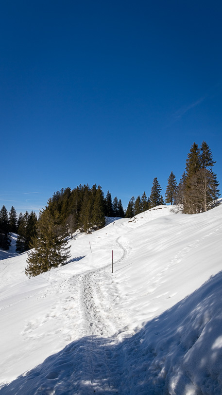 Schneeschuh-Trail