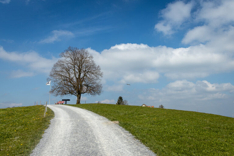 Aussichtspunkt Hirzel Höhi