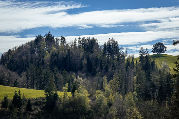 Baumwipfelpfad Neckertal bei Mogelsberg