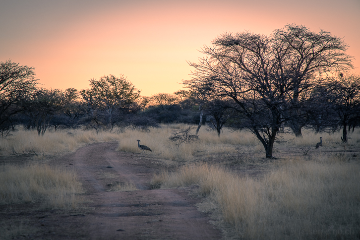 Abendrot über dem Okonjima Naturreservat in Namibia