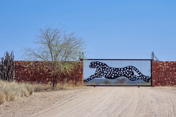 Gepardprofil am Tor zu Namibias Okonjima Naturreservat