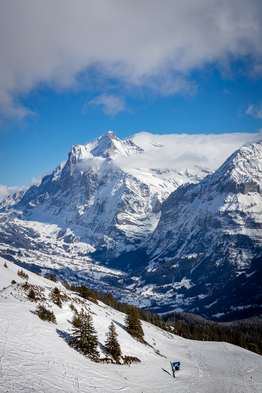 Sicht auf Grindelwald am Fusse von Mättenberg und Wetterhorn