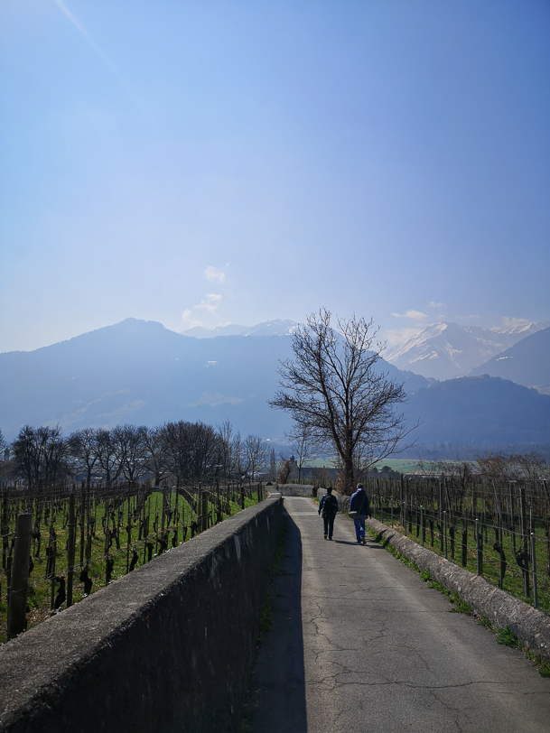 Spaziergänger auf dem Weinwanderweg