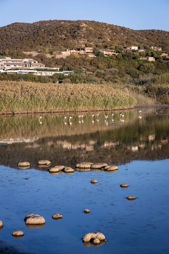 Flamingos in der Lagune des Conrad Chia Laguna Sardinia Hotel