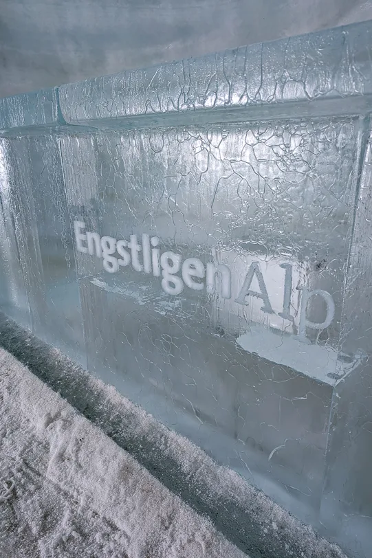 Eisbar des Fondue-Iglus auf der Engstligenalp