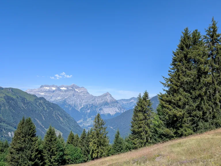 Alpenpanorama mit grünen Fichten, Wiesen und schneebedeckten Gipfeln bei Glarus Süd