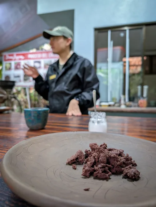 Geröstete Kakaobohnen auf einem Teller im Vordergrund, dahinter ein Guide in schwarzer Kleidung bei einer Plantagen-Führung