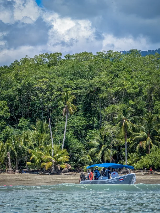 Weisses Boot mit blauer Überdachung fährt entlang eines tropischen Strandes mit Palmen und dichtem Regenwald im Hintergrund