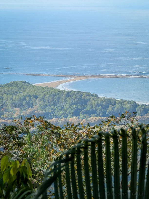 Blick von erhöhtem Aussichtspunkt durch Palmwedel auf die tropische Kueste von Marino Ballena mit schwanzflossenförmiger Sandbank im tuerkisfarbenen Meer.