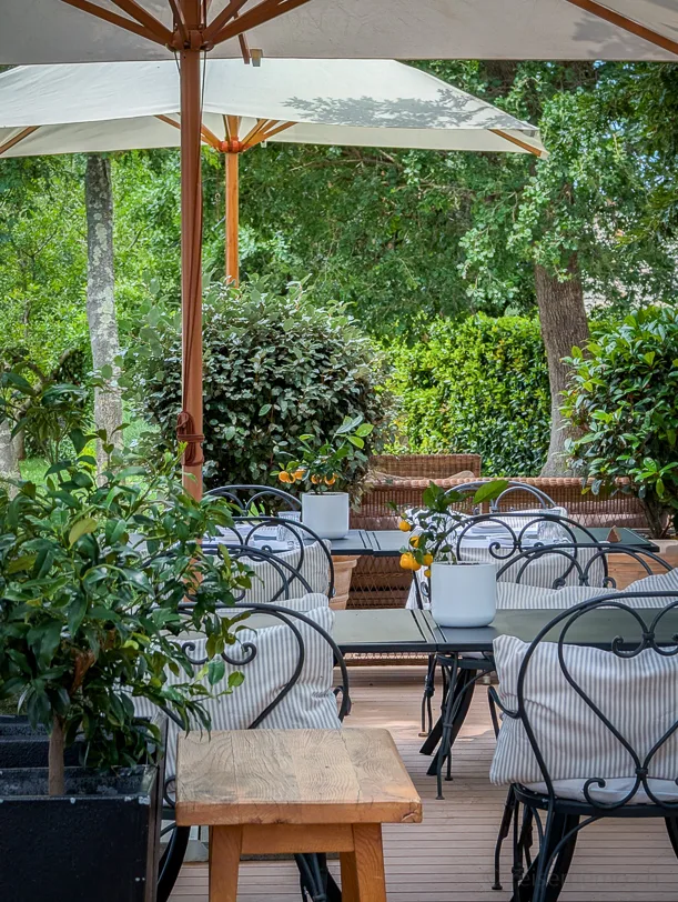 Istriens Gourmet‑Restaurants: 11 Orte für Trüffel, Meeresfrüchte & Sterneküche 7 Artischockenvorspeise im Meneghetti Gartenrestaurant
